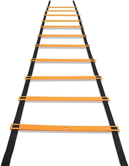 amazon exercise ladder
