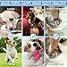 Dog Rope Toys Cute Animals Design, Cotton Puppy Toys for Small Dogs. Rope Dog Toy Set pack of 6