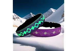 DOGLED LED Dog Collar, 15 Light Modes, USB-C Rechargeable, Adjustable Silicone, Multiple Colors (Purple, S(7.87-11.8"))