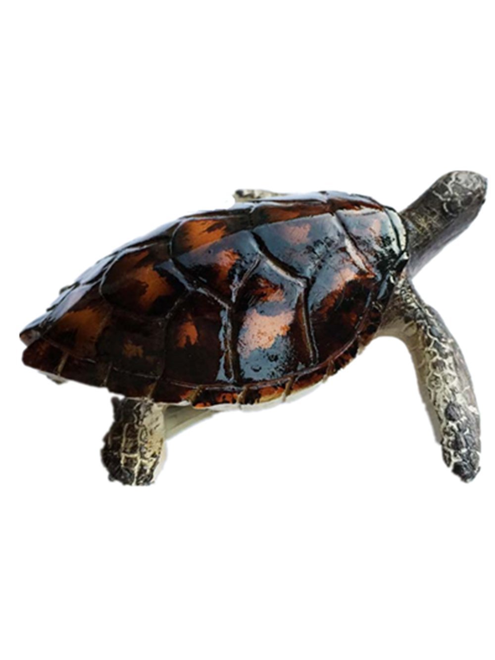 JIAN AI Imán para Nevera con Diseño de Tortuga Marina en 3D de la ...