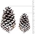 Supla 10 PCS Natural Pinecones Medium Frosted Pine Cones Ornaments Real Preserved Pine Cones - Dried -3