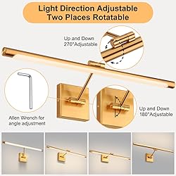 Xbuyee LED Picture Lights for Paintings, 24.4inch