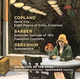 MUSIC BY COPLAND AND BARBER AND GERSHWIN           image