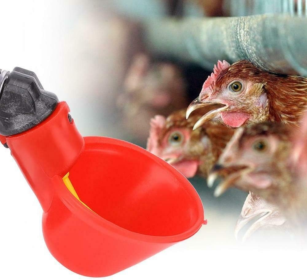 Decoración de exterior alimentador de agua automático Herramienta para