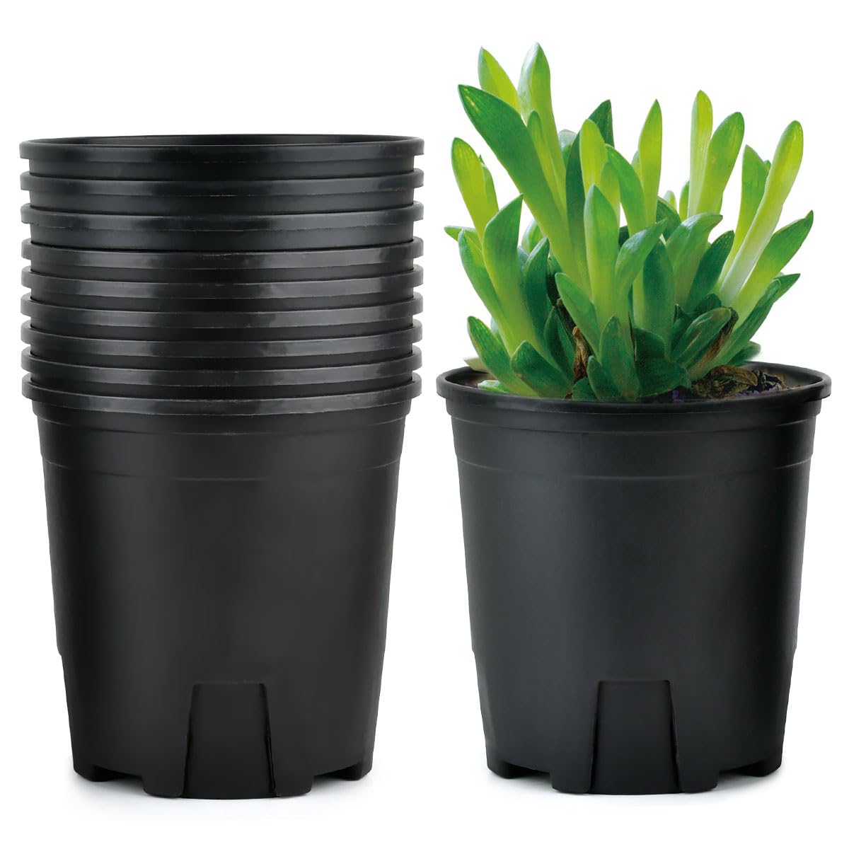 FOROREH 12.4cm Plastic Plant Pots,Pack of 10 Plant Nursery Pots,Reusable Plant Flower Pots for Indoor and Outdoor Home Gardening Decoration, Black