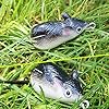 Sougayilang-Topwater-Frog-Rat-Soft-Swim-Crankbait-Fishing-Lures-with-Plastic-Box-Pack-of-6pcs