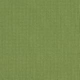 Sunbrella Spectrum 48022-0000 Cilantro Fabric By