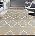 Modern Moroccan Trellis Gray-Yellow 5' X 7' Area Rug