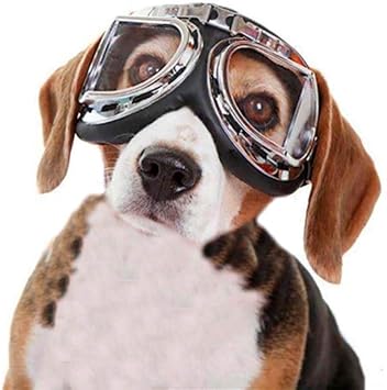Amazon Phenove お洒落な犬用眼鏡 サングラス ゴーグル 紫外線 予防 対策 ペット用 メガネ 透明な Phenove サングラス 通販