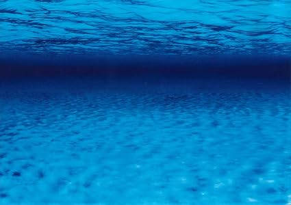 水槽 バック スクリーン ダウンロード 無料 水槽 バック スクリーン ダウンロード 無料