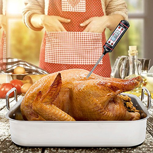 Home & Kitchen, Kitchen & Dining, Kitchen Utensils & Gadgets, Thermometers & Timers, Meat