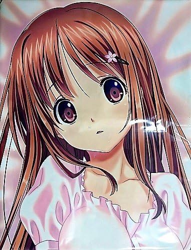 Amazon にじいろ桜 こうたろ書き下ろし 森川百華抱き枕カバー とらいあんぐる コミケ91 俺の嫁 アニメ 萌えグッズ 通販