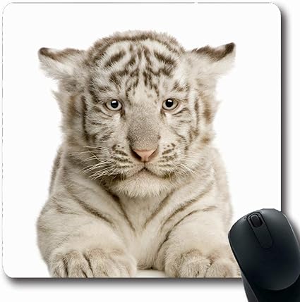 Amazon マウスパッドストリップグレーベビーホワイトタイガーカブ数ヶ月正面の黒いストライプwe敬の念大きい肉食動物のデザイン長方形の形状7 9 X 9 5インチ滑り止めゲーミングマウスパッドラバー長方形のマット Chiqueb マウスパッド 通販