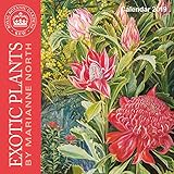 Kew Gardens - Exotic Plants by Marianne North - mini wall calendar 2019 by