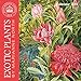 Kew Gardens - Exotic Plants by Marianne North - mini wall calendar 2019 by