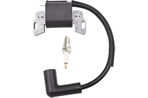 RYTIME 593872 Ignition Coil Compatible with BS 596532 595009 798534 799582 84005272 Magneto Armature 08P502 09P602 09P702 Lawn Mower With Spark Plug
