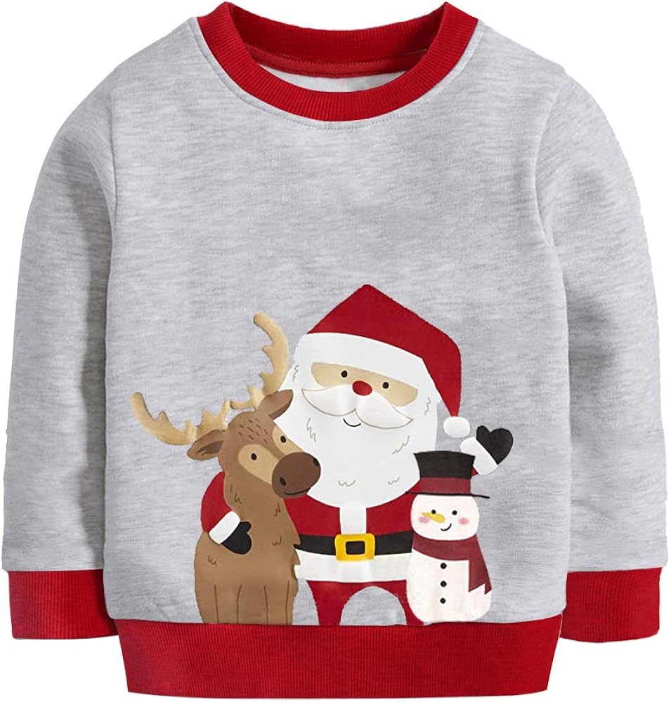 DDSOL Baby Boy's Crewneck Cotton Long Sleeve Toddler Pullover