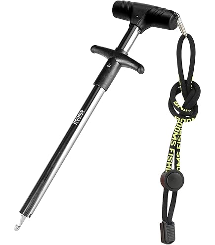 Berkley Stainless Steel Hook Remover, Black : Sports & Outdoors