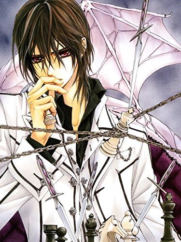 Amazon Com Wv2274 Vampire Knight Painting Anime Manga Art 16x12 Print Poster Posters Prints
