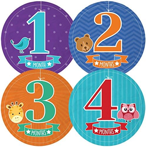 Baby Monthly Milestone Stickers for Photo Album &amp; Memory Book - Perfect Present for Baby Shower - Gorgeous Unisex Design for Boy &amp; Girl - Months 1-12