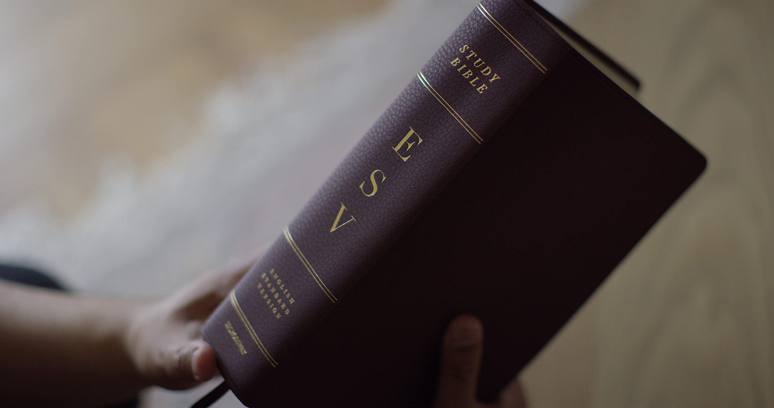 ESV Study Bible, Large Print (Bonded Leather, Burgundy): Holy Bible, English Standard Version ESV Study Bible, Large Print (Bonded Leather, Burgundy): Holy Bible, English Standard Version Bonded Leather
