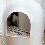 pidan cat igloo