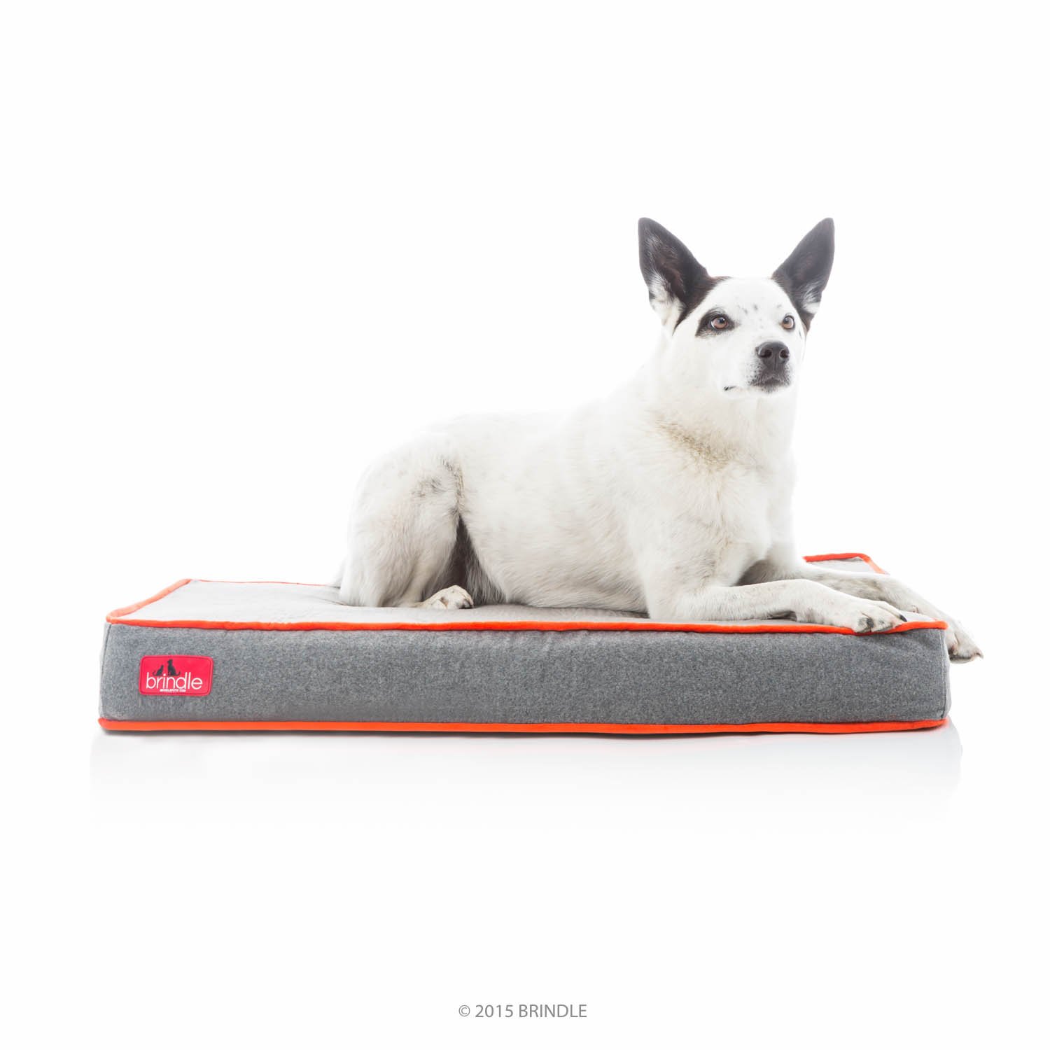 Brindle Waterproof Designer Memory Foam Pet BedRemovable Machine