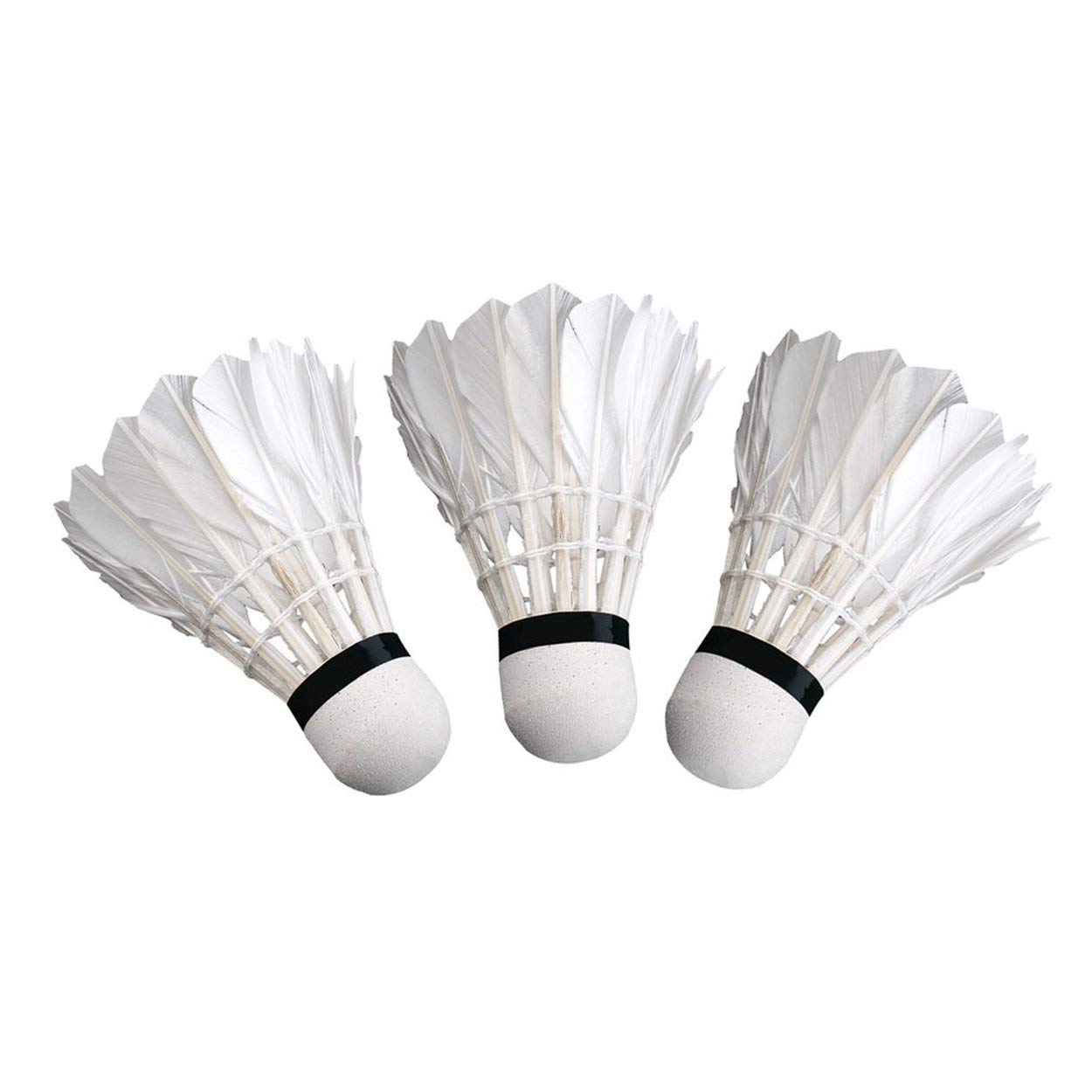 Badminton 3 X Training White Duck Feathers Badminton Shuttlecocks Birdies Ball Game Sport Entertainment Product Badminton Balls With Can Shuttlecocks Badminton Enjoy Saving 30 50 Off Www Klevering Com