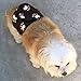 Cuddle Bands Male Dog Belly Band for Housetraining and Incontinence - Washable and Reusable Dog Diaper (Paw Print Medium: 17-19