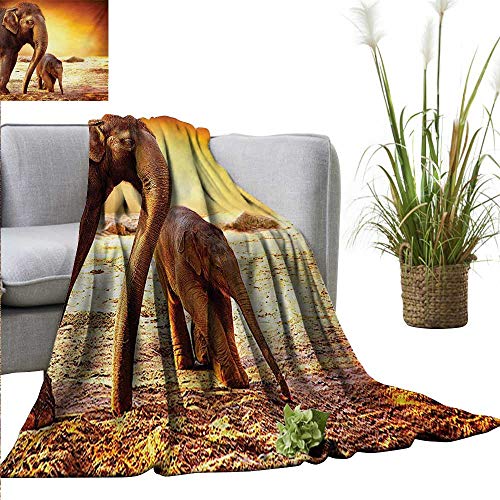 homehot Vintage Faux Fur Throw Blanket Vector Background with Ice Cream Illustration Food Sweets Yummy Design Print Ultra Soft and Warm Hypoallergenic 55" Wx55 L Blue and Hot Pink