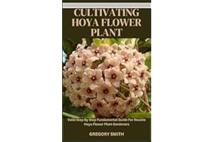 CULTIVATING HOYA FLOWER PLANT: Valid Step By Step Fundamental Guide For Newbie Hoya Flower Plant Gardeners