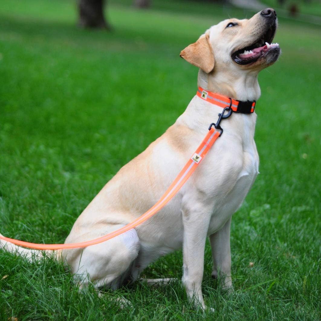 Hundefreund Soft Dog Lead 150 cm, Safe Lead for All Dogs Neon Bright (Orange) - Image 4