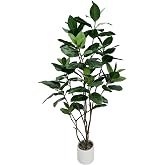 VIGGDA 5ft Artificial Ficus Altissima Tree with White Planter Pot | Application: Tall faux tree decor perfect for home, office and living room interior layout