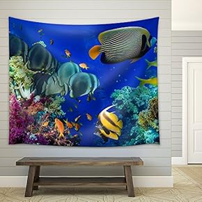 Colorful Underwater Offshore Rocky Reef with Coral and sponges and Small Tropical Fish Swimming by in a Blue Ocean - Fabric Wall Tapestry Home Decor - 51x60 inches