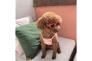 JJLFRESHENERS Red Heart Pet Sunglasses Cat Glasses Pets Party Decor Sun Flower Glasses for Small Dogs Cute Pet Dog Sunglasses Cat Accessories Photos Props
