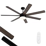 Viossn 62 Inch Ceiling Fan with Lights, Outdoor