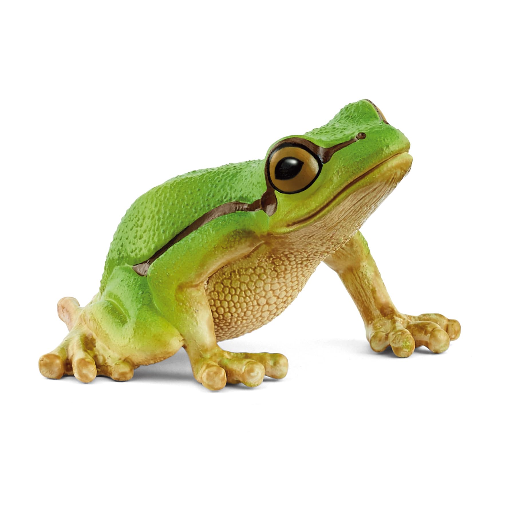 Schleich Wild Life - European Tree Frog Toy Figurine. Realistic Hand-Painted Animal Toys for Boys and Girls. Durable Educational Wolf Figure for Imaginative Play. Kids and Toddlers Ages 3+ 14882