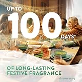 Air Wick Mulled Wine Plug in Diffuser Refill Pack 6 x 19ml Long Lasting view 4