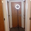 グレートリングライト