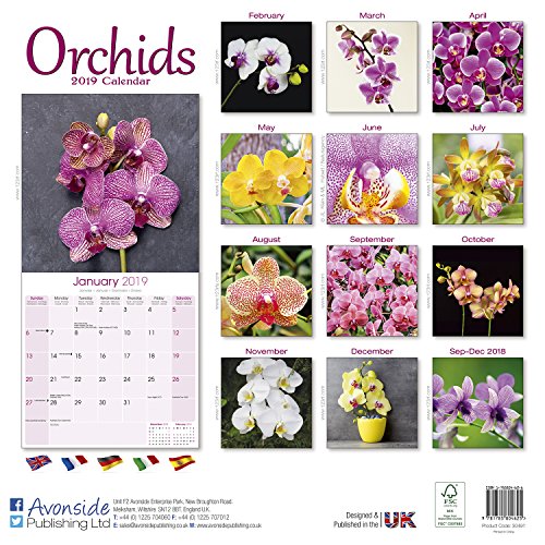 Garden Calendar - Flower Calendar - Orchids Calendar - Calendars 2018 - 2019 Wall Calendars - Orchids 16 Month Wall Calendar by Avonside