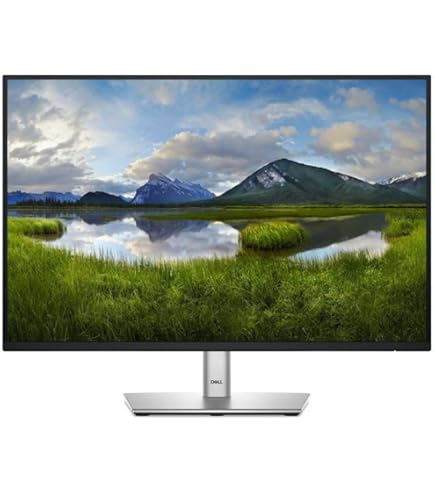Amazon.com: Dell UltraSharp U2415 24.1