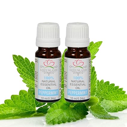 Lotusland 100% Pure & Natural Peppermint Oil (Pack of 2, 10 ml)