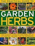 The Practical Guide to Garden Herbs: How to identify, choose and grow herbs with an A-Z directory and more than 730 photographs by 