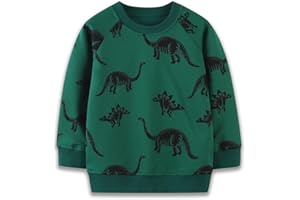 YANGLYN Boys Cotton Sweatshirts, Toddler Boy Long Sleeve Pullovers Crewneck Tops Tshirts for Toddler Kids