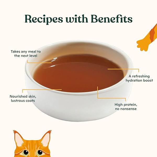 MADE BY NACHO BONE BROTH CAT FOOD TOPPER FOR HYDRATION AND PICKY EATERS – ADD PROTEIN AND FLAVOR TO YOUR DRY CAT FOOD – SUPPORTS OPTIMAL NUTRITION, DIGESTION, SKIN & COAT, 11 OZ. BEEF (PACK OF 4)
