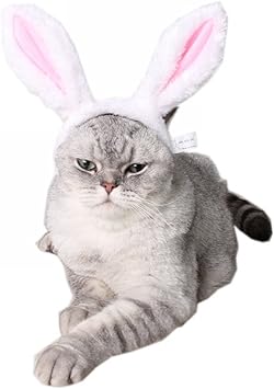 cute rabbit accessories