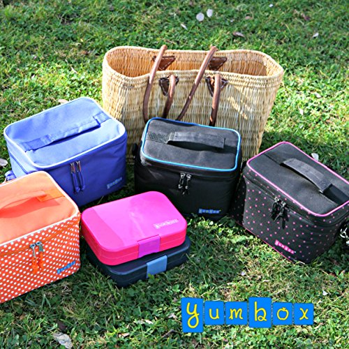 Yumbox Small Insulated Lunch Bag (Cosmos Black) Buy Online in UAE. Products in the UAE See