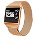 hooroor Bling Bands Compatible with Fitbit Ionic Smart Watch for Women Men, Fully Magnetic Closure Clasp Milanese Mesh Loop Stainless Steel Metal Replacement Bracelet Wristbands (Burnt Orange, Small)