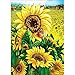 DIY 5D Diamond Painting by Number Kits, Full Drill Crystal Rhinestone Embroidery Pictures Arts Craft for Home Wall Decor Gift, Sunflower 11.8x15.8in