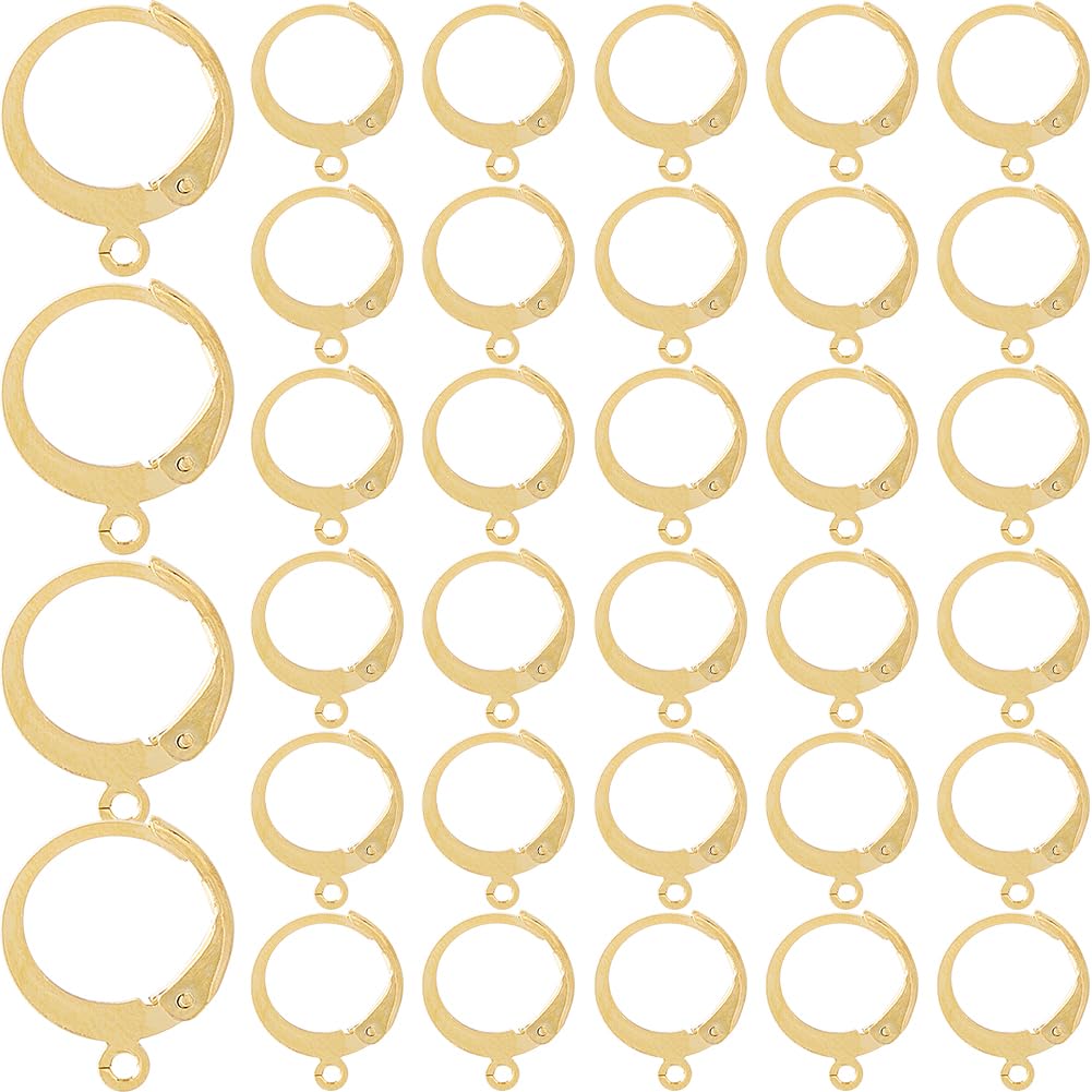 SOFPLATE 1 Box 120Pcs Real 24K Gold Plated Earring Findings Stainless Steel Earring Hooks Bulk Huggie Leverback Earrings Findings Round Wire Earring Hooks for jewellery Making Supplies DIY Craft Women